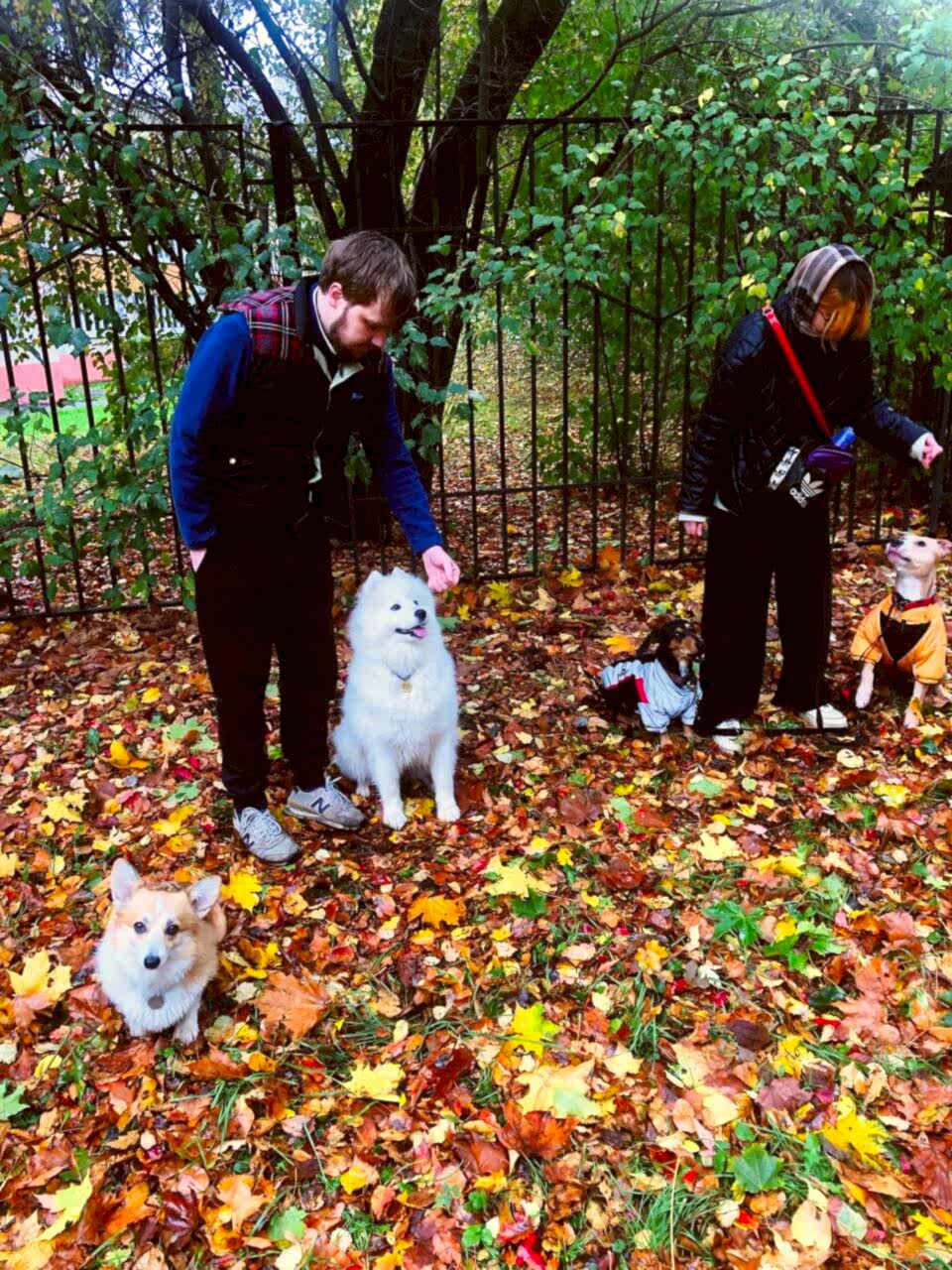 Групповое занятие